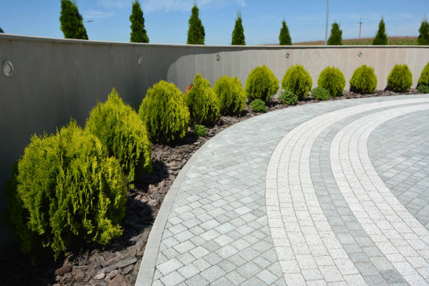 Best Residential Paver Driveway  in Okawvle, IL